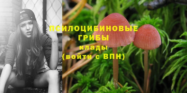 прущая мука Тайга