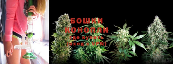 прущая мука Тайга